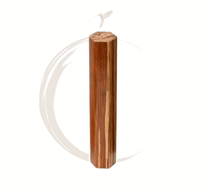 Foret de pluie magique 4-5 minutes