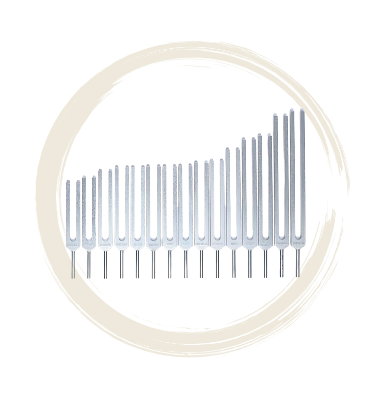 Diapason Medi-Premium Set des Organes