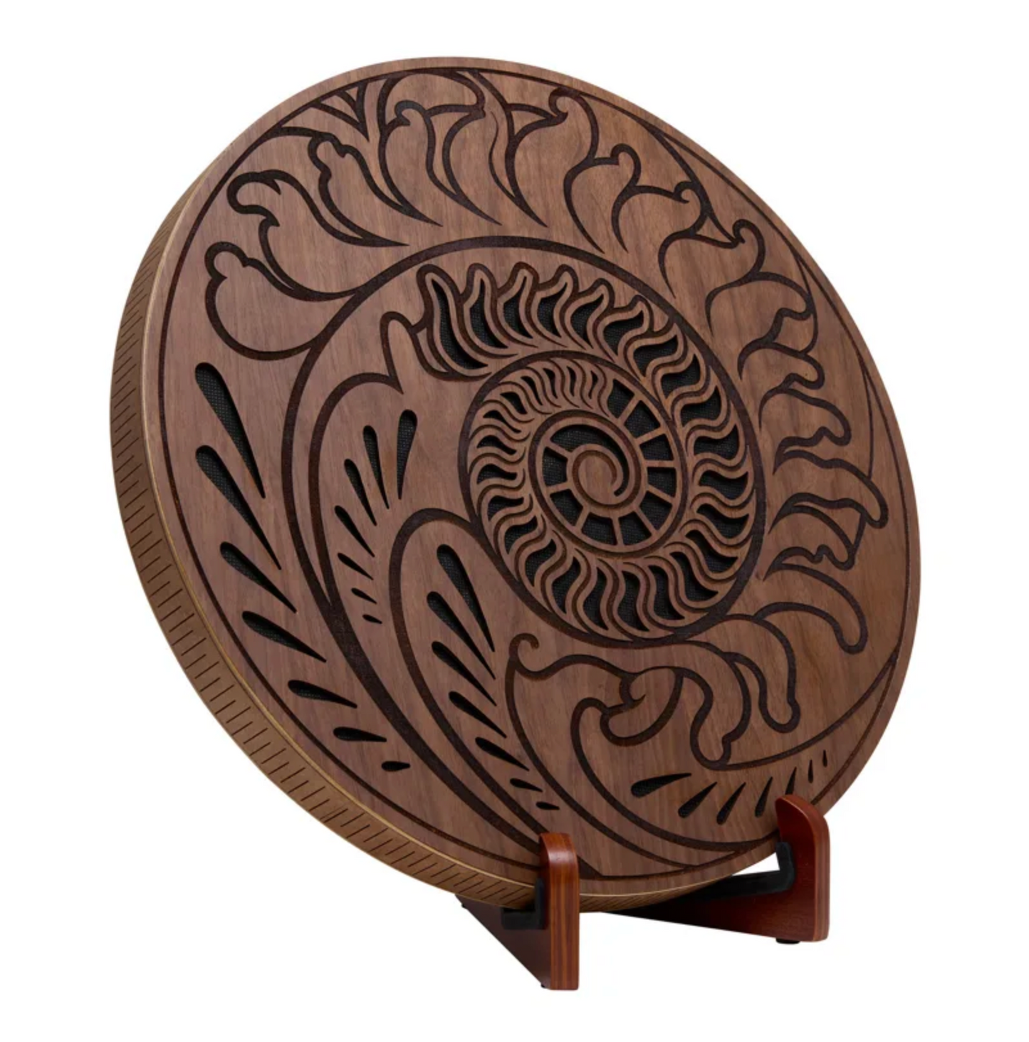 Disque de pluie 38cm