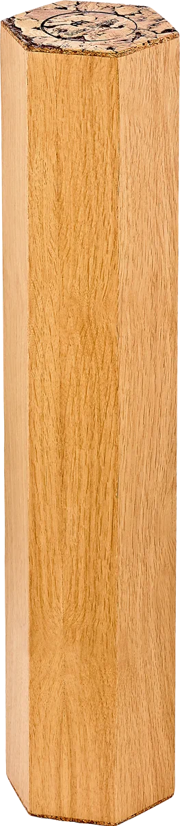 Rain Maker magique 5 min Meinl Sonic Energy