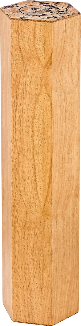 Foret de pluie magique 15 min Meinl