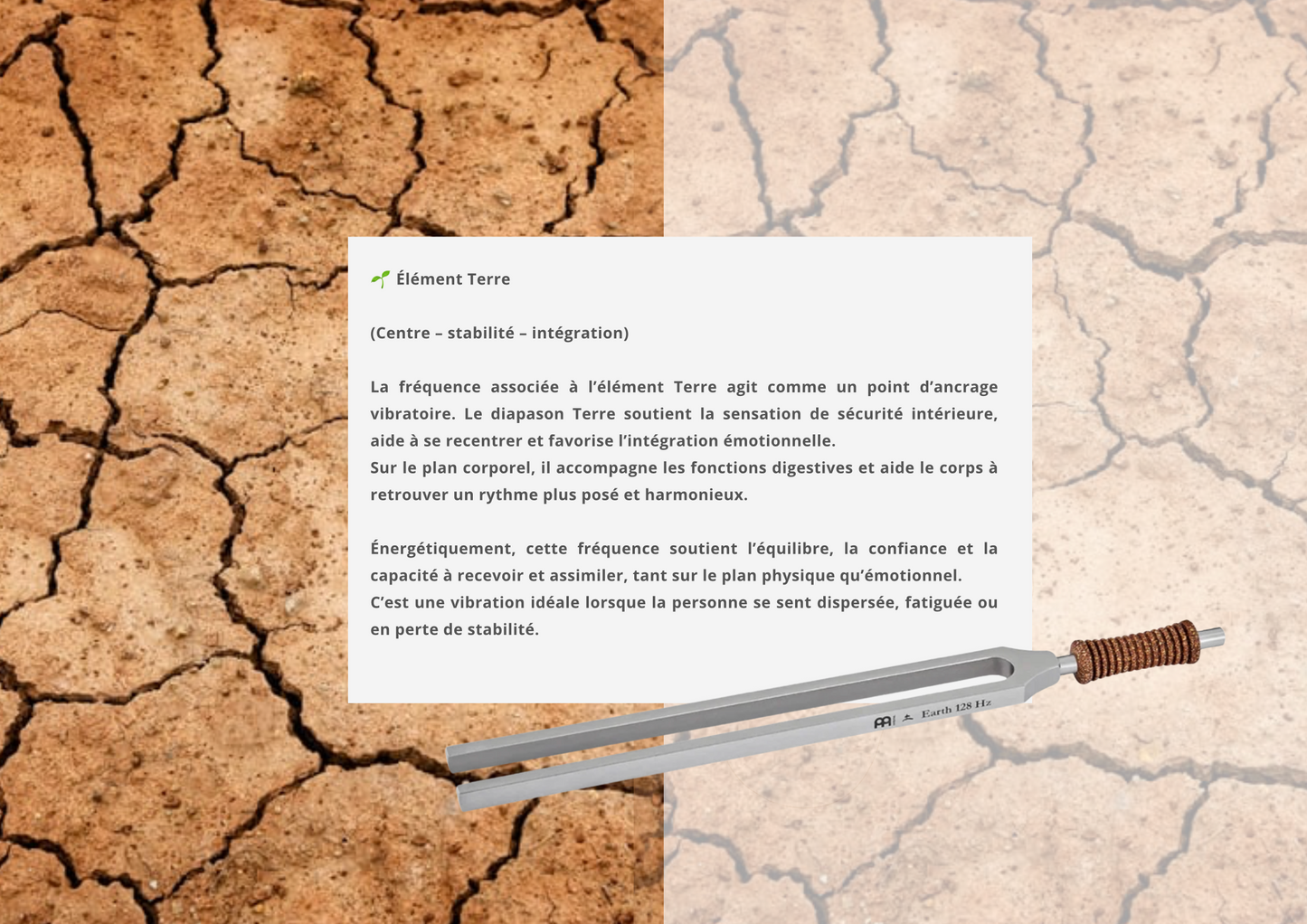 Set TCM ''plus'' Diapasons des 5 éléments et les diapasons Yin & Yang