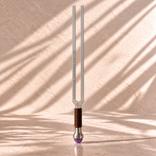 RALENTIR - APAISER - SE RECENTRER IIIII Diapason Premium 110HZ le biorythme des émotions