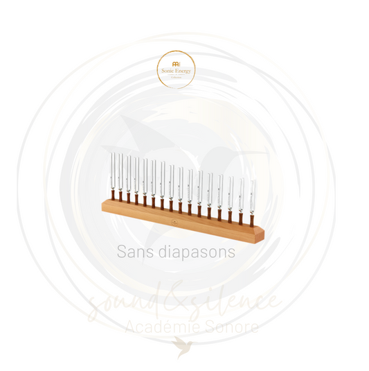 Bloc pour 16 diapasons Accessoires Diapasons (sans diapasons)