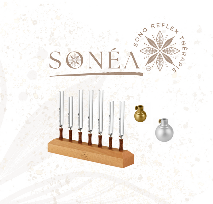 Set Sonéa : 7 diapasons et 2 boules vibratoires
