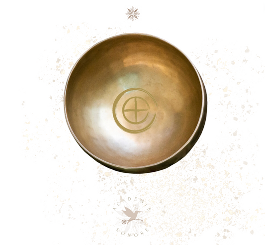 Les Bols aux chants des étoiles ''Terre OM'' 2800g