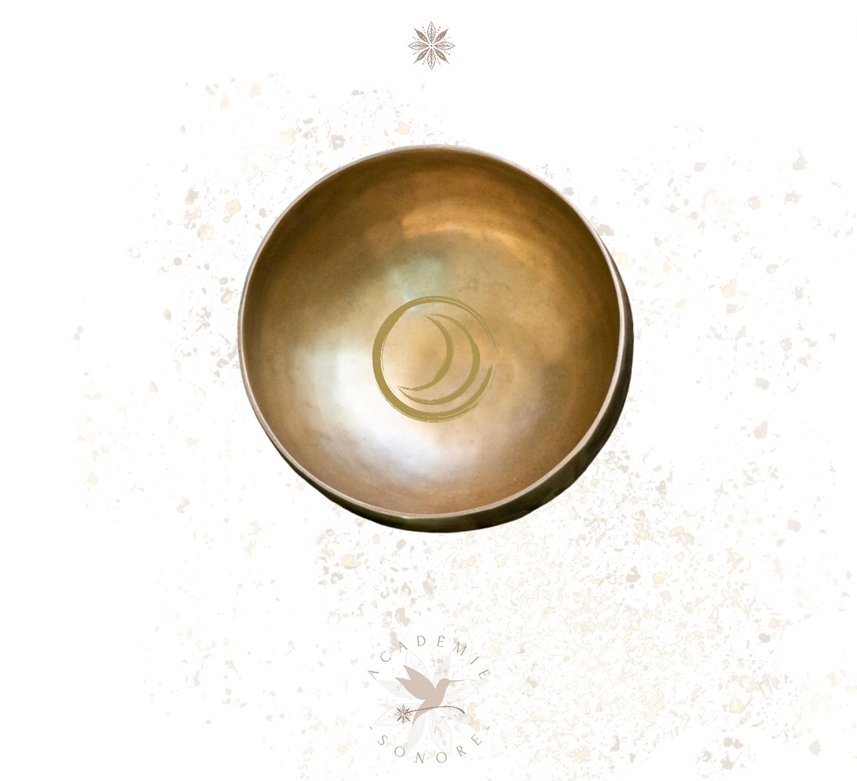 Bol chantant planétaire Lune 2000 g – vue 2