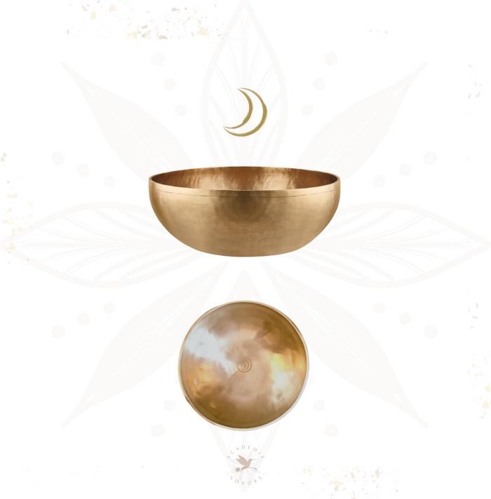 Bol chantant planétaire Lune 2000 g