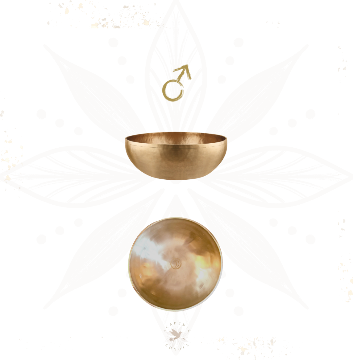 Bol chantant planétaire Mars 1200 g