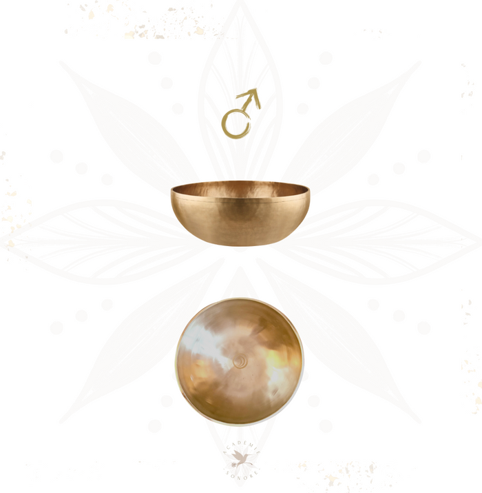 Bol chantant planétaire Mars 1200 g