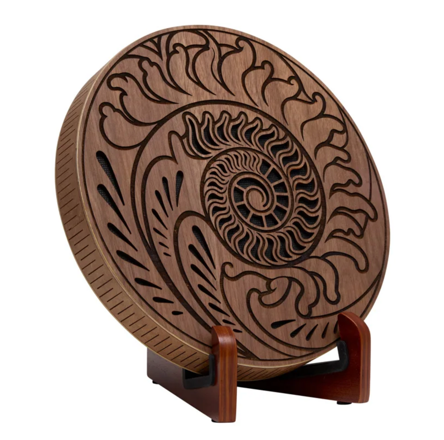 Disque de pluie 25cm