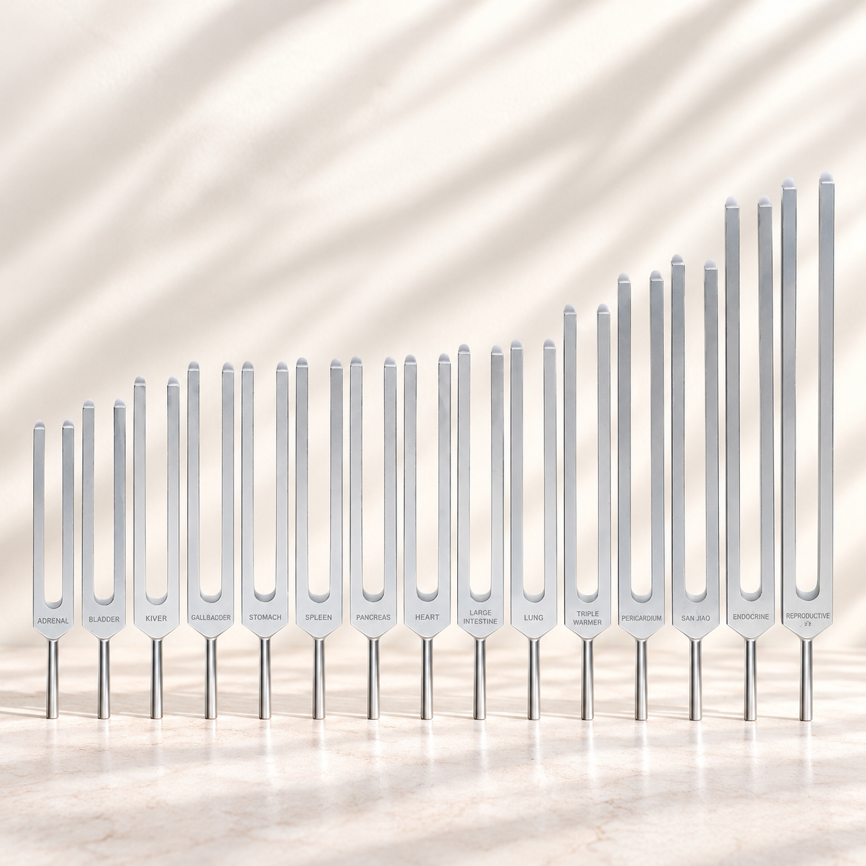 Diapason Medi-Premium Set des Organes