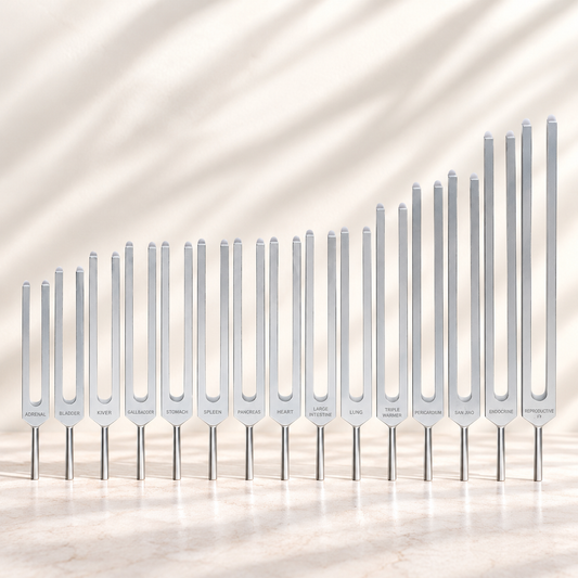 Diapason Medi-Premium Set des Organes