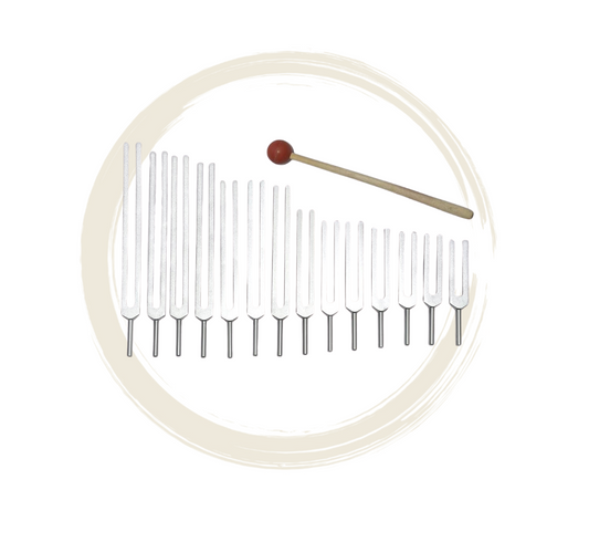 Diapason Medi-Premium Meridiens Set de 14 pc