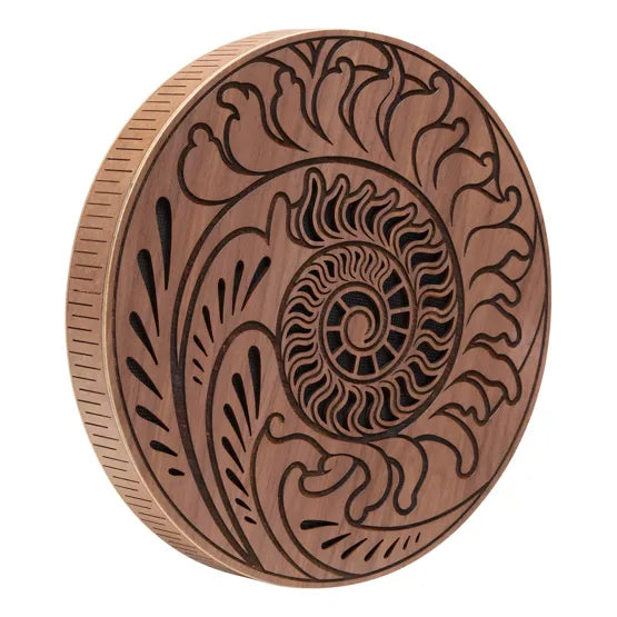 Disque de pluie 25 cm