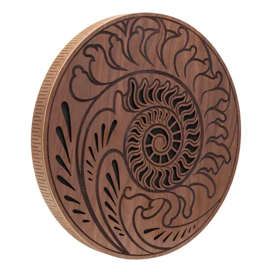 Disque de pluie 38 cm