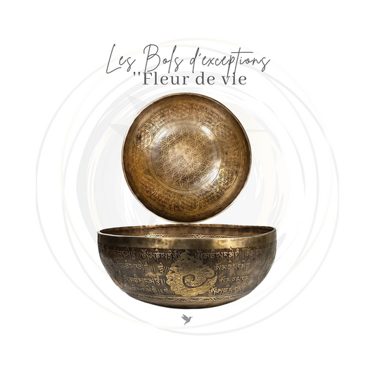 Bols chantants d'exceptions