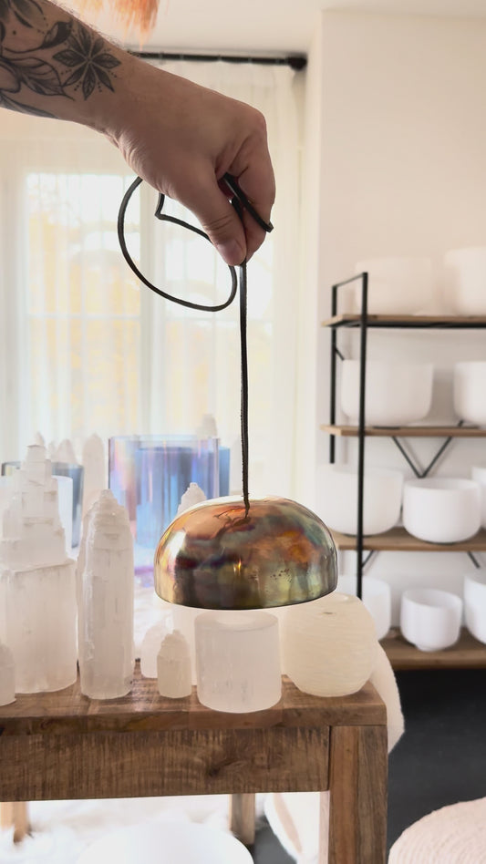 découvrir en vidéo