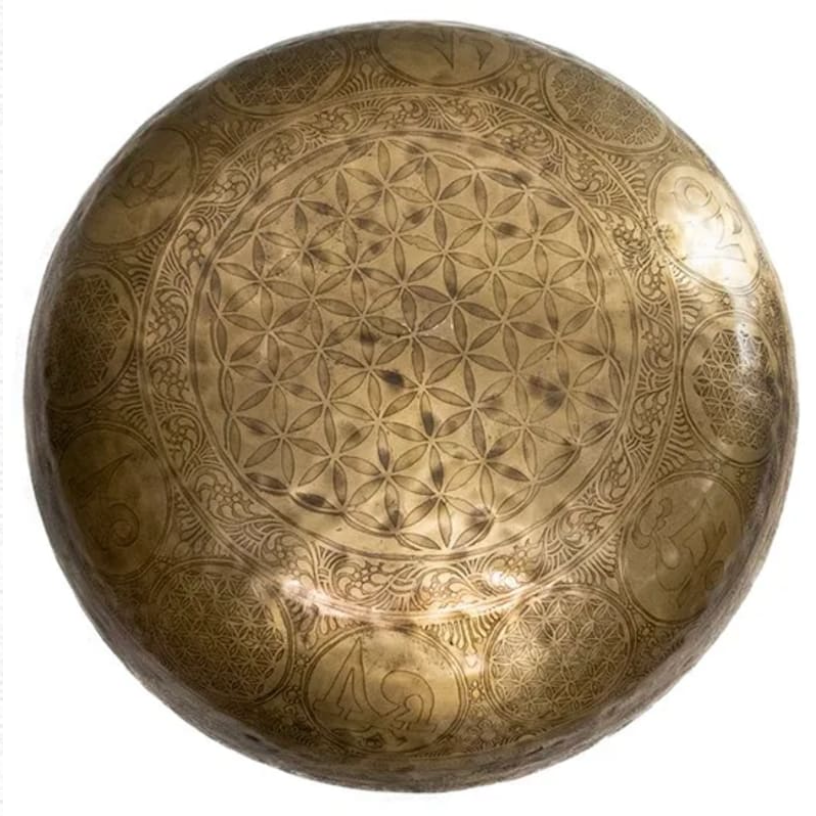 Bol chantant géant 11 kg – vue 4